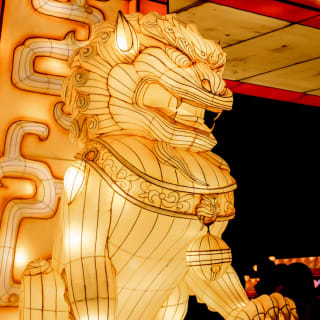 Winter Lantern Festival (Williamsburg, VA) 4