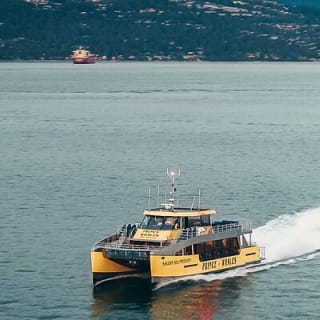 Aventura de Medio Día de Avistamiento de Ballenas desde Victoria 4