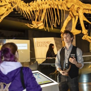 Museo de Melbourne: Visita guiada al hogar de los dinosaurios 10