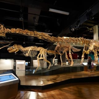 Museo de Melbourne: Visita guiada al hogar de los dinosaurios 11