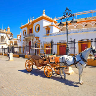 Lo más destacado de Sevilla: Visita guiada gratuita 1