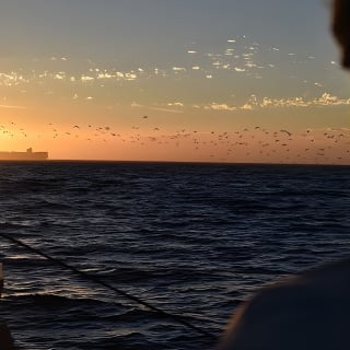 Cruise and Dine Dinner / Cape Town: Sunset Champagne Cruise and 3-Course Dinner 2