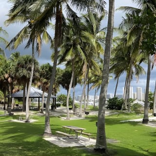 Experience Peanut Island Adventures 12