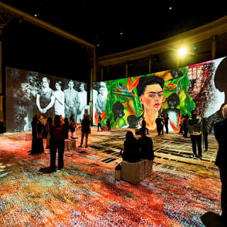 Frida Kahlo – A Revolutionary Life 8