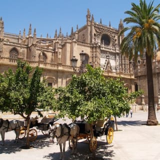 Lo más destacado de Sevilla: Visita guiada gratuita 5