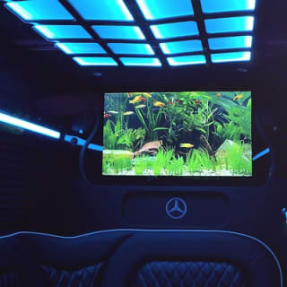 Sprinter Party Bus transportation things to do Ft Lauderdale  11