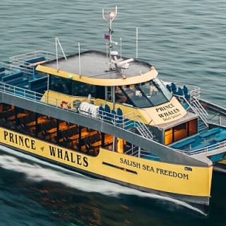Aventura de Medio Día de Avistamiento de Ballenas desde Victoria 12