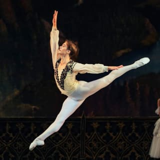 Grand Ballet Gala / The Nutcracker / Swan Lake Bruges 1