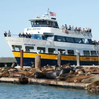 Escape from the Rock: Bay Cruise 4