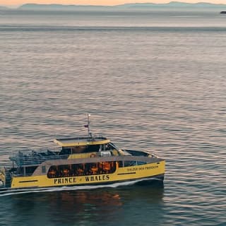 Aventura de Medio Día de Avistamiento de Ballenas desde Victoria 13