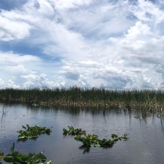 Florida Everglades Airboat Tour et Wild Florida avec déjeuner optionnel 10