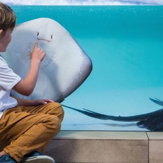 Palma Aquarium: biglietto + trasferimento Alcudia - Puerto Pollensa 5