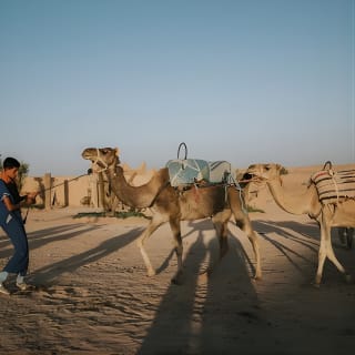 Demi-journée dans le désert d'Agafay avec balade à dos de chameau, randonnée en quad et dîner sous tente nomade 5