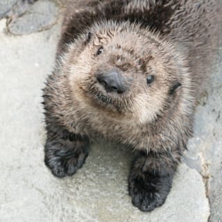 Vancouver Aquarium 3