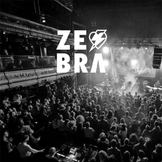 Zebra Club en Teatro Eslava 1