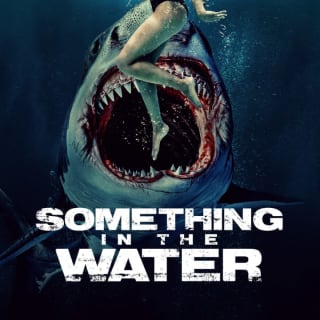 Something in the Water 1