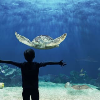 Vancouver Aquarium 1