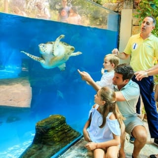 Palma Aquarium: biglietto + trasferimento Alcudia - Puerto Pollensa 6