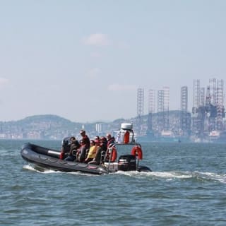 Boat Seafari Adventure 12