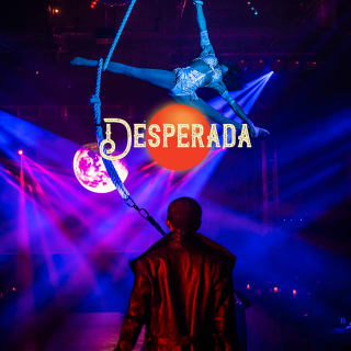 Desperada: Back to the Ranch 2