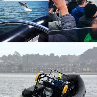 Boat Seafari Adventure 13
