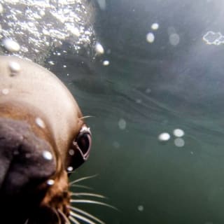 Vancouver Aquarium 8