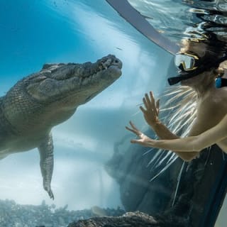 Wildlife Habitat Port Douglas 2