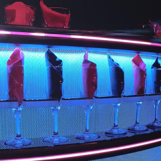 Sprinter Party Bus transportation things to do Ft Lauderdale  19