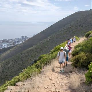 The Lion Trail 8