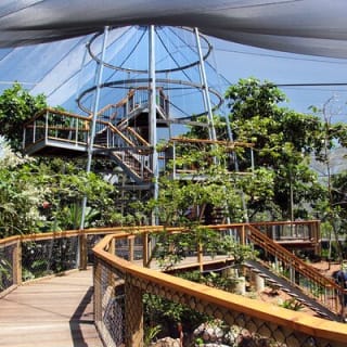 Wildlife Habitat Port Douglas 3