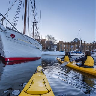 Hobart Kayak Tour 3