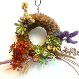 Living Succulent Wreath Making Workshop 1