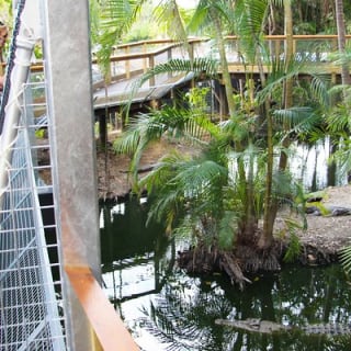 Wildlife Habitat Port Douglas 6