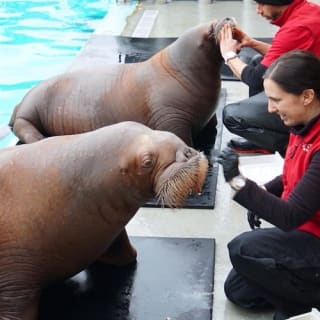 Vancouver Aquarium 6