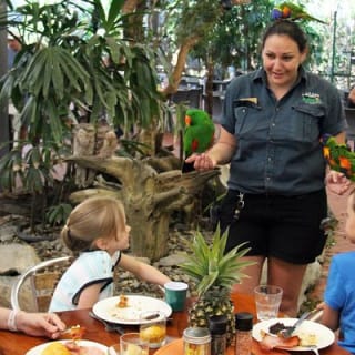 Wildlife Habitat Port Douglas 7