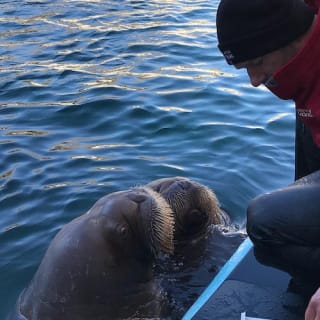 Vancouver Aquarium 7