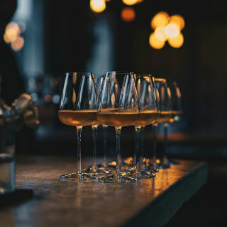 White Wines Unlocked - A Wine Evening in Marylebone 4
