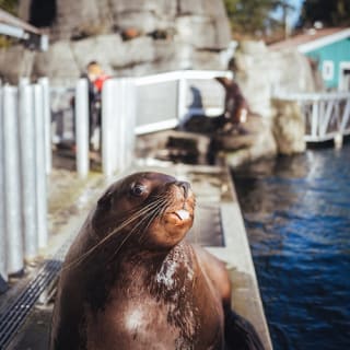 Vancouver Aquarium 9