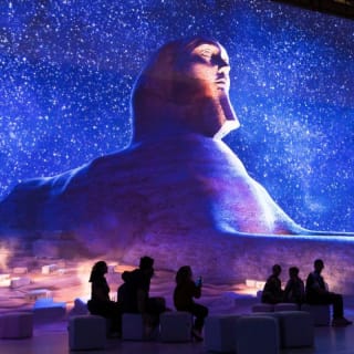 Tutankhamun: The Immersive Exhibition 6