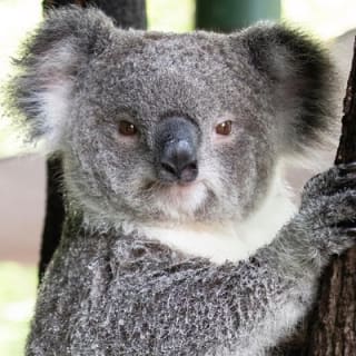 Wildlife Habitat Port Douglas 9