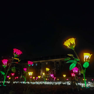 Imperial Lights 10