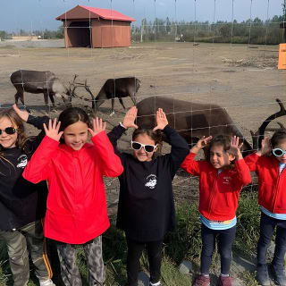 Bears, Trains & Icebergs Tour 6