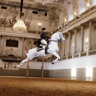 Actuación de los caballos lipizzanos en la Escuela Española de Equitación 1