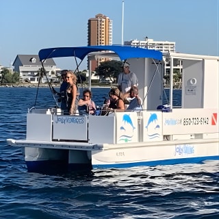 2 Hour Private Dolphin Cruise & Bay Tour  3