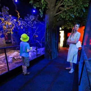 Wildlife Habitat Port Douglas 10