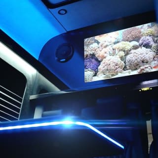 Sprinter Party Bus transportation things to do Ft Lauderdale  26