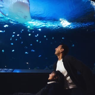 Vancouver Aquarium 11