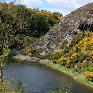 Hill & Nature Hike - Discover Real Edinburgh With a Local Expert 10