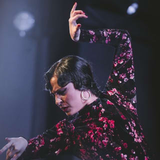 Spettacolo di flamenco tradizionale a Casa Ana Granada 2