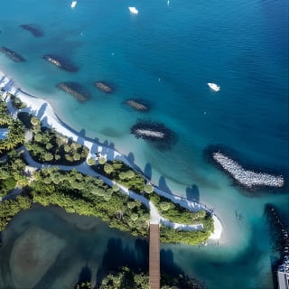 Experience Peanut Island Adventures 13